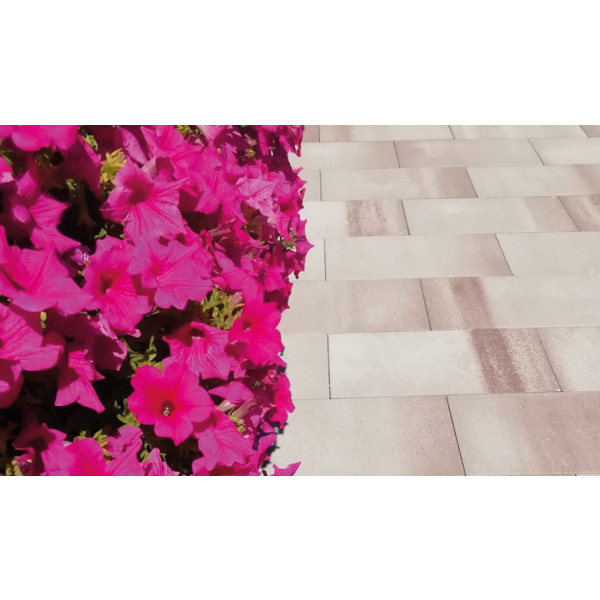 PLOČE LUNGO BALATON 60X30X3,8