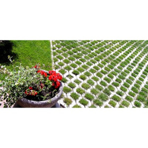 SAMOBORKA - TRAVNI OPLOČNIK