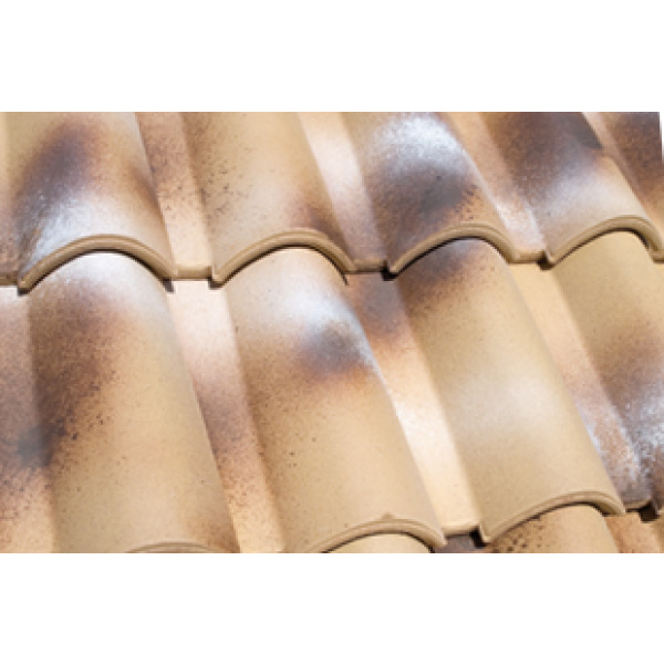 Tognana crijep Coppo Bavarese Rinascimento Tognana crijep Coppo Bavarese Rinascimento